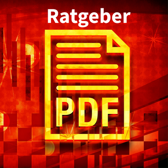 Ratgeber Digitale Ausgabe PDF