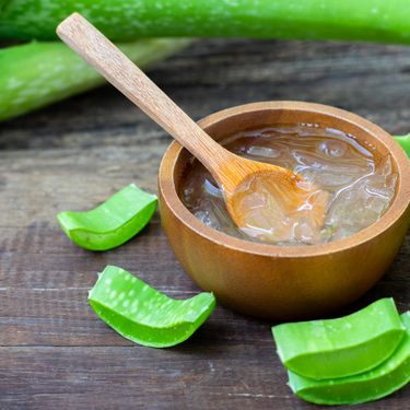 Workshop Aloe Vera, 2 Tage, Mallorca Spanien