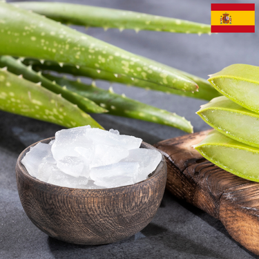 Workshop Aloe Vera, 2 Tage, Mallorca Spanien